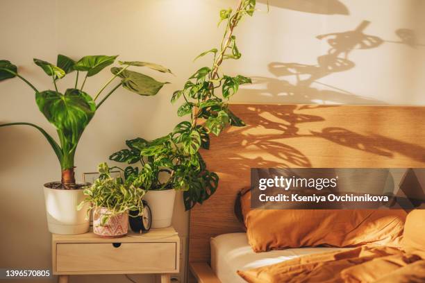 portrait white frame mockup on retro wooden bedside table. modern white ceramic vase, dry grass. cup of coffee and books in bed. beige linen pillows in bedroom. scandinavian interior. - wohngebäude innenansicht stock-fotos und bilder