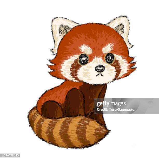 67点のレッサーパンダイラスト素材 Getty Images 67点のレッサーパンダイラスト素材 Getty Images