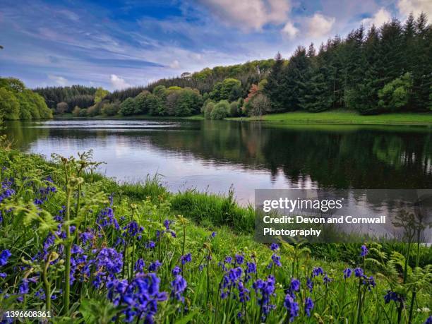 Devon Spring Time 688 Devon Loch Stock Photos, High-Res Pictures, and Images - Getty Images