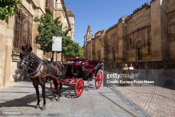 Horse parked in the Jewish quarter on May 10 in Cordoba, Andalusia, Spain. The city of Cordoba preserves a Jewish quarter, located in the historic...