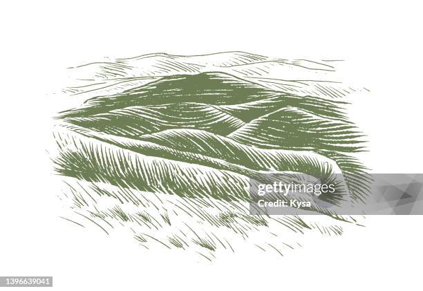pasture field drawing - pasture stock illustrations