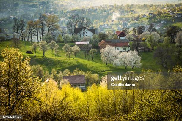 beautiful spring scene of mountain bran village with colourful trees and beautiful background, bran - romania - bran stock pictures, royalty-free photos & images