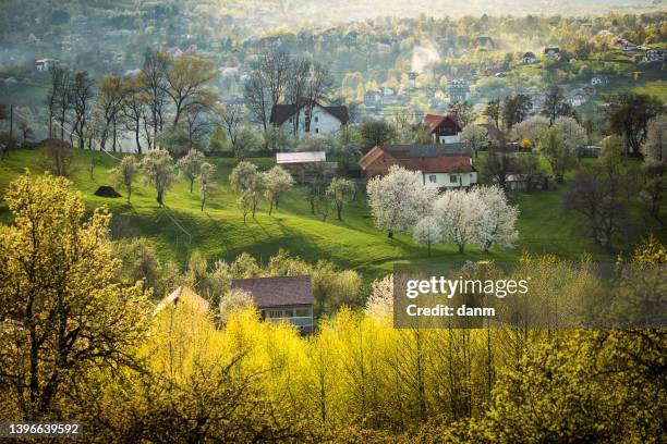 beautiful spring scene of mountain bran village with colourful trees and beautiful background, bran - romania - kli bildbanksfoton och bilder