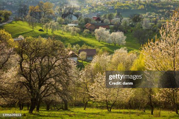 beautiful spring scene of mountain bran village with colourful trees and beautiful background, bran - romania - bran romania stock pictures, royalty-free photos & images