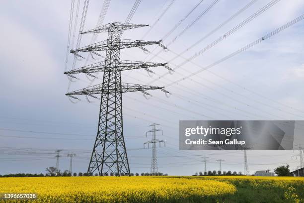 Electricity pylons stand over a field of rapeseed on May 10, 2022 near Berlin, Germany. In its bid to transition from fossil fuels to renewable...