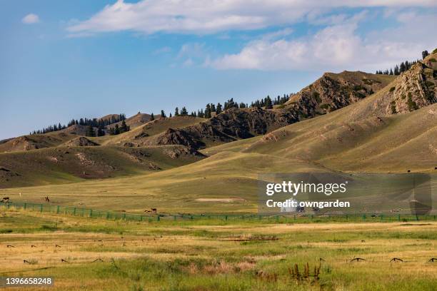 karajun grassland scenery,xinjiang,china - yurt stock pictures, royalty-free photos & images