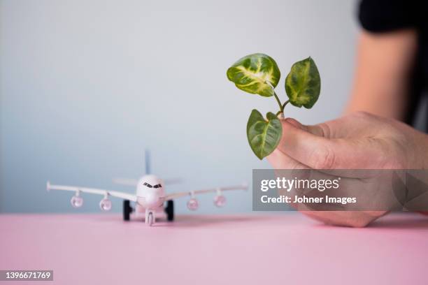 hand holding leaf, airplane model in background - combustible biológico fotografías e imágenes de stock