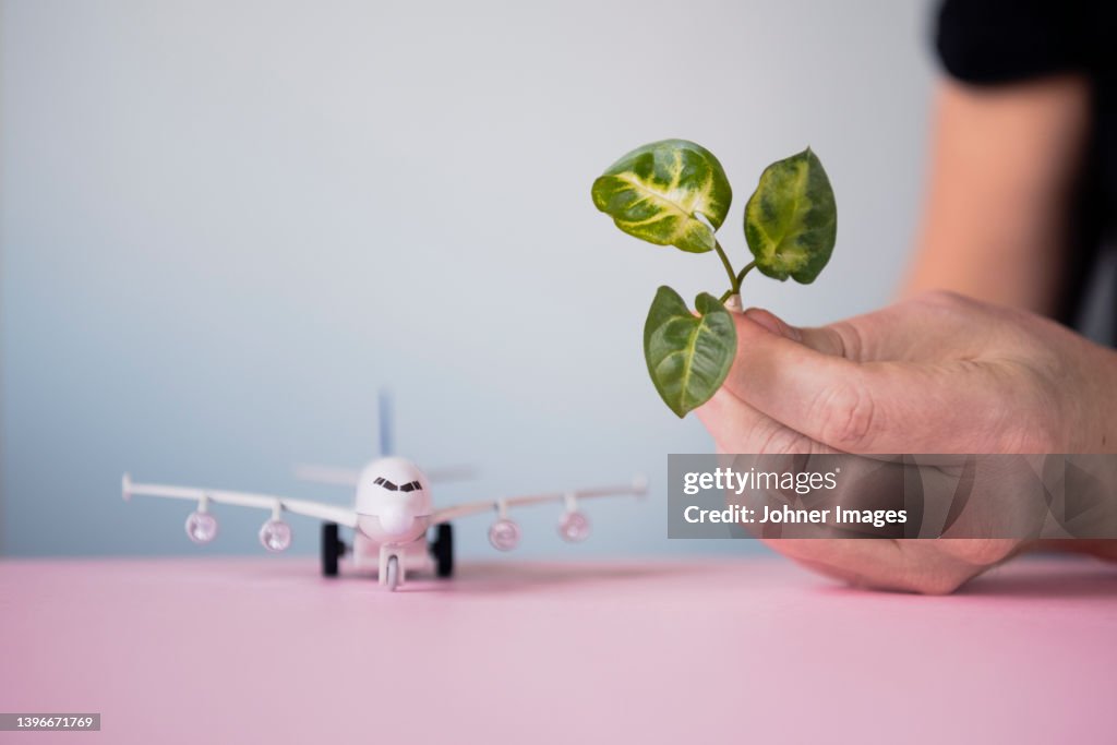 Hand holding leaf, airplane model in background