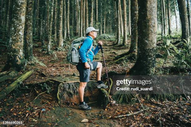 uomo asiatico che tiene il bastone da trekking quando si traccia nella foresta - hiking pole foto e immagini stock