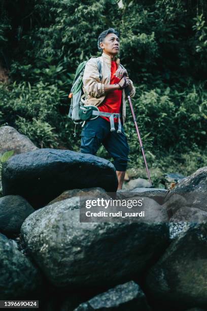 zufriedener älterer männlicher wanderer mit trekkingstock, der die aussicht sieht - hiking pole stock-fotos und bilder