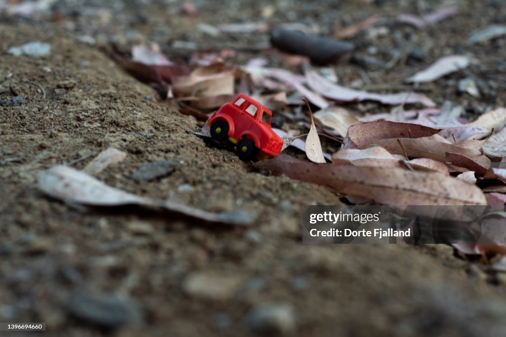 Tiny red plastic car on the earth with some dead leaves