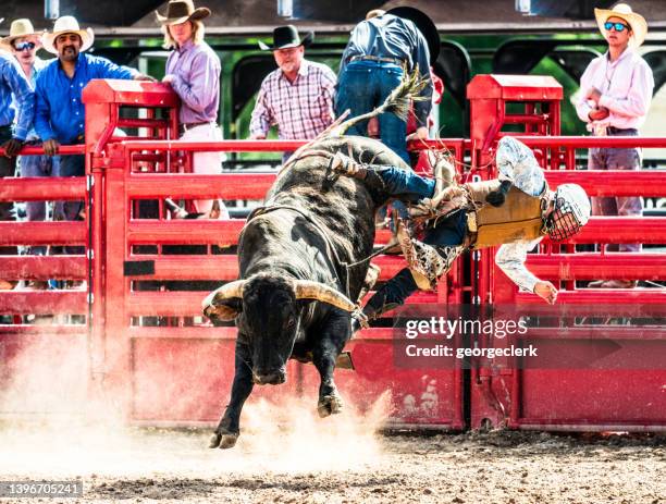 Bull Rider Falling Off 1,550 Rider Falling Off Horse Stock Photos, High-Res Pictures, and ...