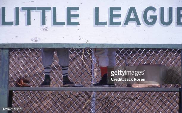 View of the legs of two young baseball players as the stand on a bench during a Levittown Continental Little League game, Levittown, Pennsylvania,...