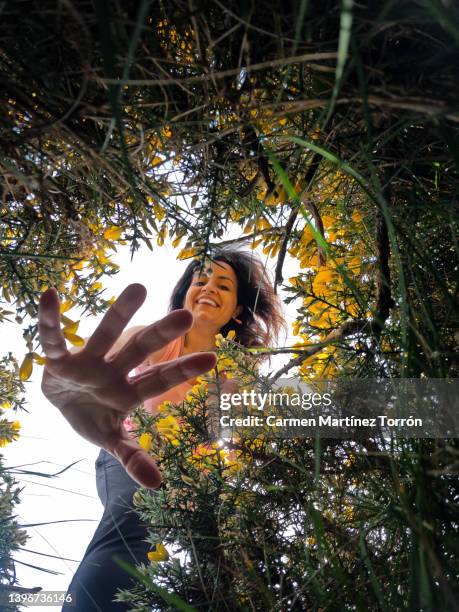 happy woman touching and collecting wild gorse. - biodiversity concept stockfoto's en -beelden