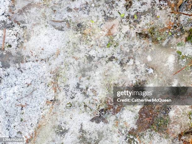 sheet of ice on residential slate walkway - schneeregen stock-fotos und bilder