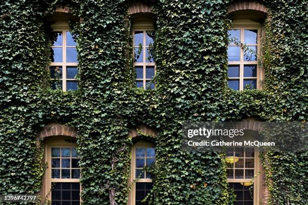 ivy-covered building with decorative arched windows - campus - fotografias e filmes do acervo