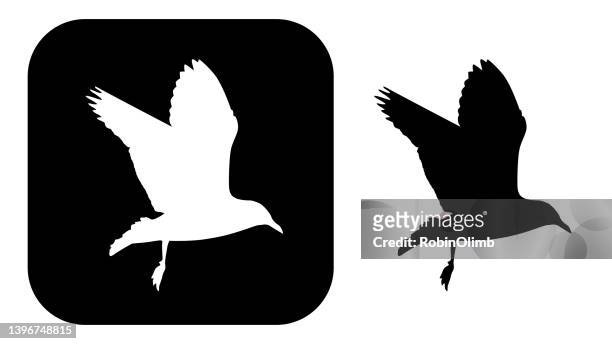 black and white seagull icons 1 - seagull icon stock illustrations