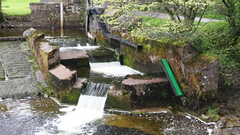 River Weir Ribble Ribble 12 Eel Pass Stock Videos, Footage, & 4K Video Clips - Getty Images