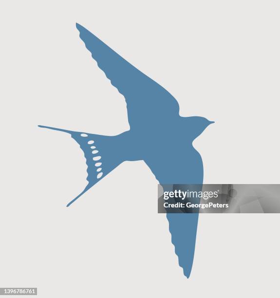 barn swallow flying - purple martin stock illustrations