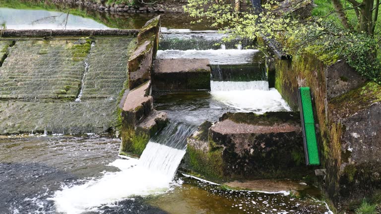 River Weir Ribble Ribble 12 Eel Pass Stock Videos, Footage, & 4K Video Clips - Getty Images