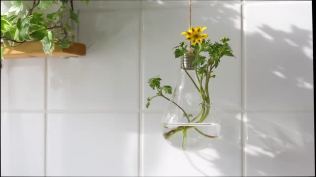 Hanging glass pot with plant and flowers against white tile wall