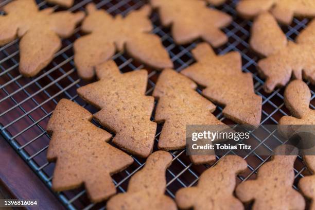 close up baked christmas tree gingerbread cookies cooling on rack - tabuleiro para arrefecer imagens e fotografias de stock