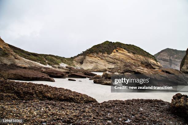 desaturated moody seascape of rocky coastline at wharariki beach, golden bay, nz - デサチュレート ストックフォトと画像