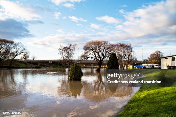 opaoa river with flooded floodplains and drowned trees in golden sunrise light, blenheim, nz - blenheim new zealand stock pictures, royalty-free photos & images