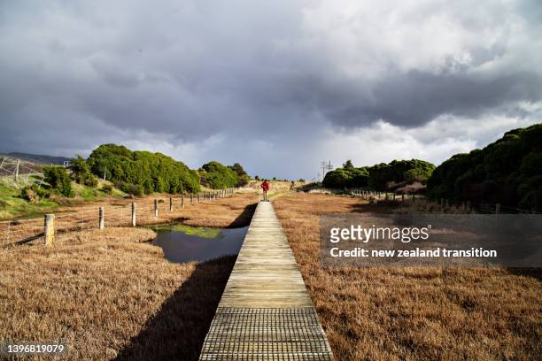 person in red on boardwalk through marshland of wairau lagoons, blenheim, nz - blenheim new zealand stock pictures, royalty-free photos & images
