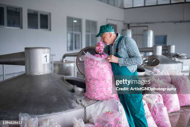 senior worker in rose essential oil distillery. - bulgaria stock pictures, royalty-free photos & images