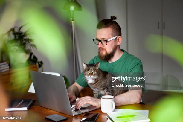 home office - cat lady stock pictures, royalty-free photos & images