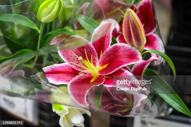 lily - lily bouquet stock pictures, royalty-free photos & images
