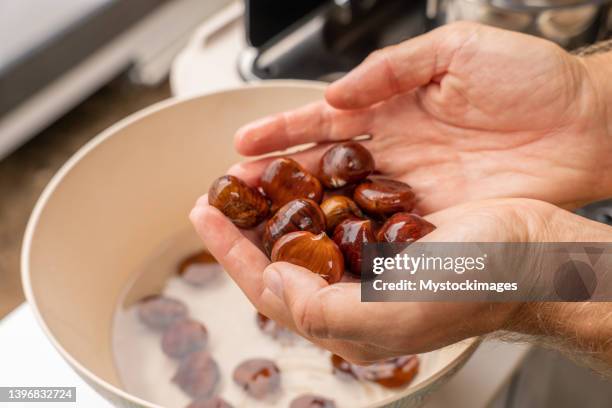 close up on hands holding chestnuts after washing them, shining and reflecting - kastanj bildbanksfoton och bilder