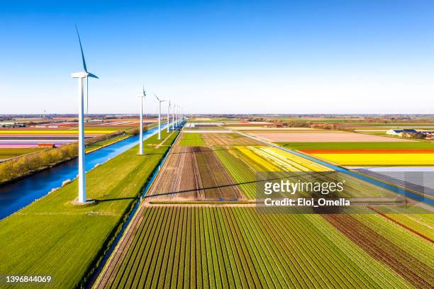 vista aérea de campos de tulipanes y turbinas eólicas en holanda septentrional con espacio de copia - netherlands fotografías e imágenes de stock