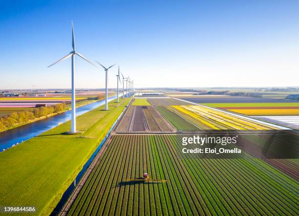 agricultural crops sprayer in a field of tulips during springtime seen from above - netherlands imagens e fotografias de stock