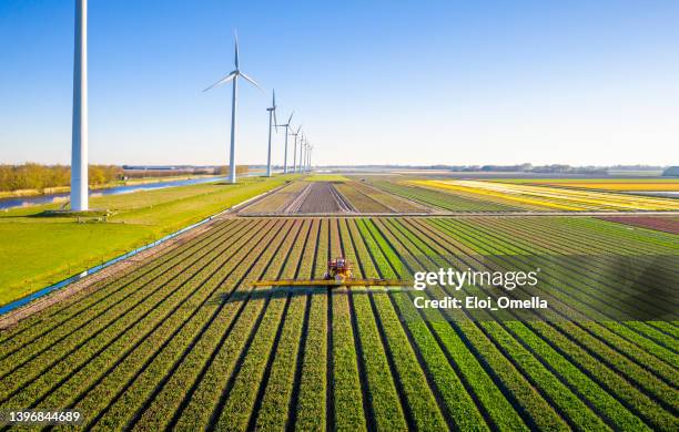 agricultural crops sprayer in a field of tulips during springtime seen from above - nederland stock pictures, royalty-free photos & images