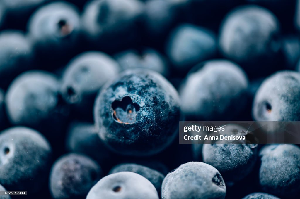 Frozen blueberries, background image