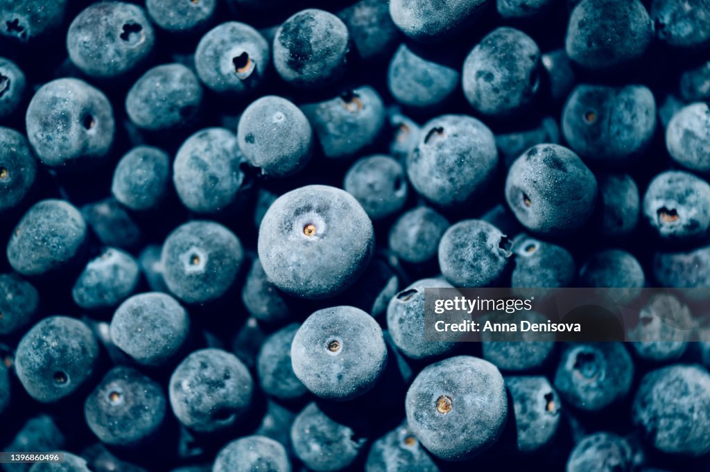 Frozen blueberries, background image