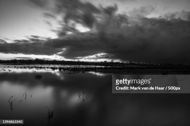 sundown at binnenveld in black and white,bennekom,netherlands - binnenveld stock pictures, royalty-free photos & images
