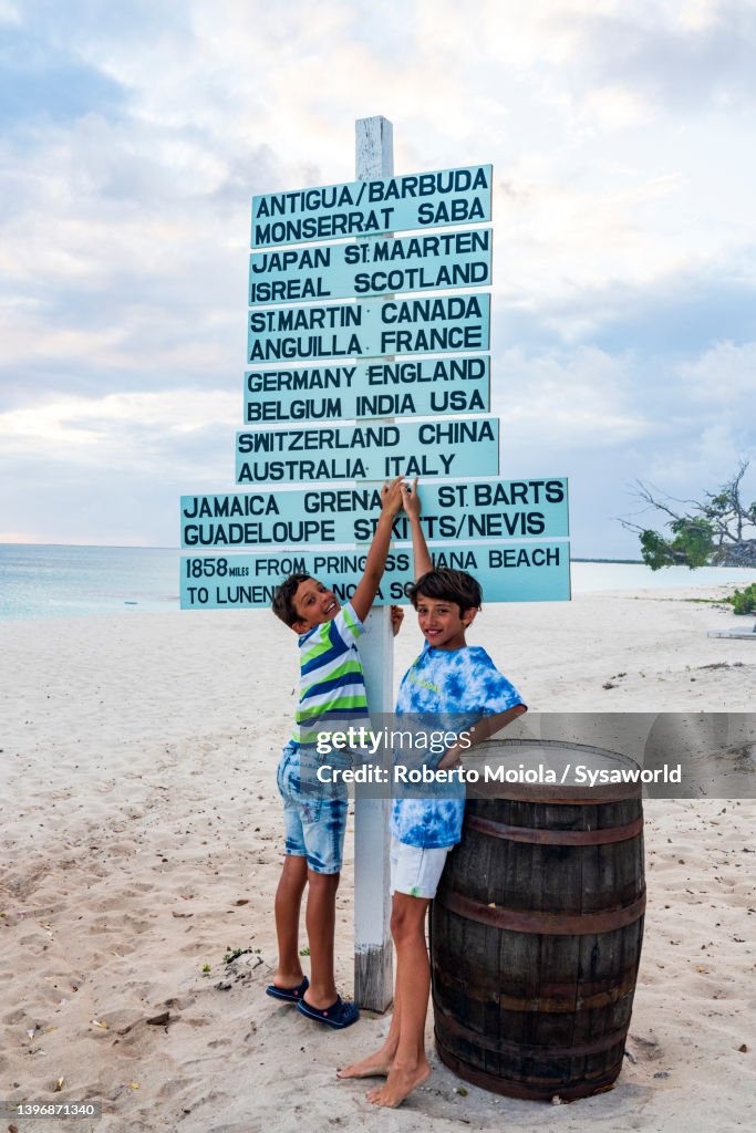 Cheerful brothers having fun on a white sand beach