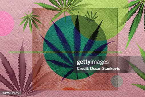 Creative Pattern with cannabis Creative Pattern with cannabis