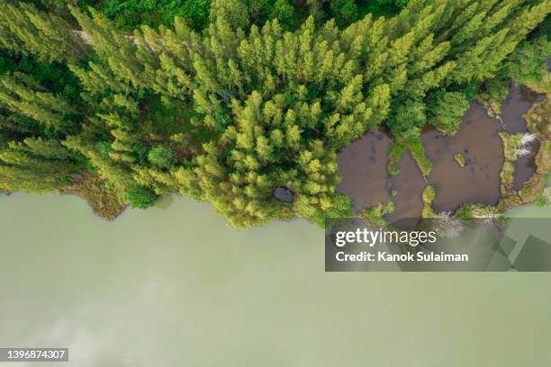 high mineral content wetland - mining from above stock pictures, royalty-free photos & images