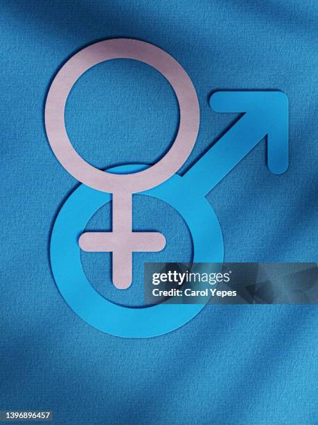 male female gender symbols in paper work - gender stereotypes stock pictures, royalty-free photos & images