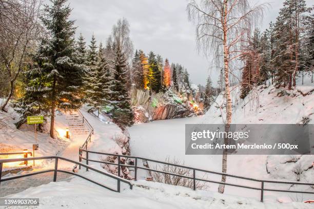 trees on snow covered field against sky - republic of karelia russia stock pictures, royalty-free photos & images