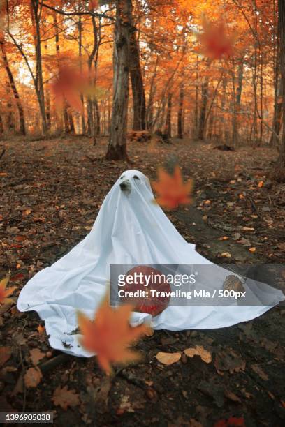 dog in halloween costume near leaves in forest,zagreb,croatia - mia woods stock pictures, royalty-free photos & images