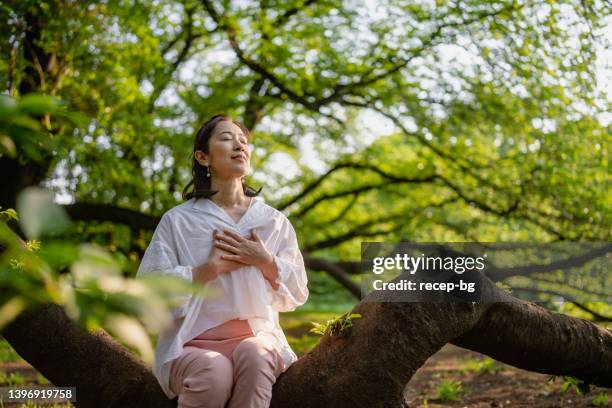 woman meditating in nature - forest bathing stock pictures, royalty-free photos & images