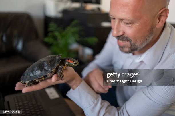 First Computer Class Turtle 71 Turtle Computer Stock Photos, High-Res Pictures, and Images - Getty ...