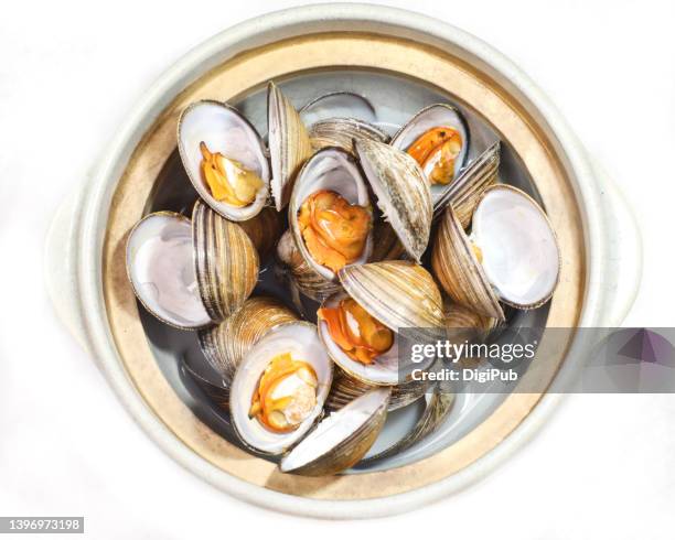 steamed chinese venus, black clam, iron clam - clams cooked stock-fotos und bilder