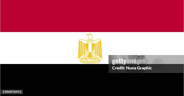 egypt flag - egypt flag stock illustrations