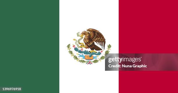 mexico flag - mexico flag stock illustrations